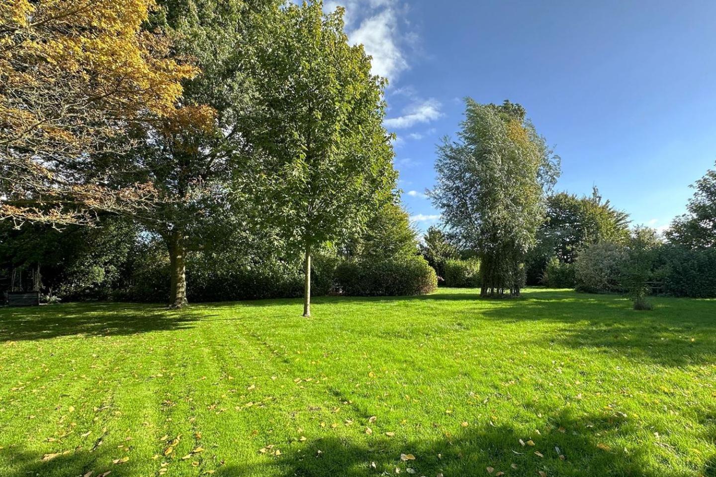Borneman Buitenhof Houten Exterior foto